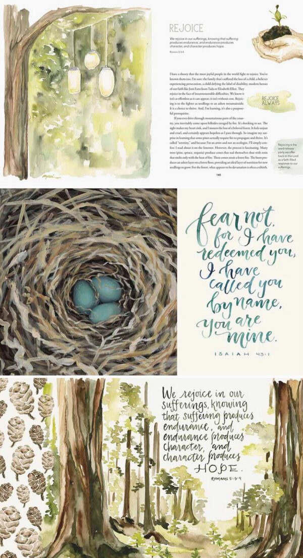 The Gracelaced hardcover features a collage of nature-themed illustrations, such as eggs in a nest, hanging lanterns, and trees, accompanied by Bible verses and quotes about hope and rejoicing.