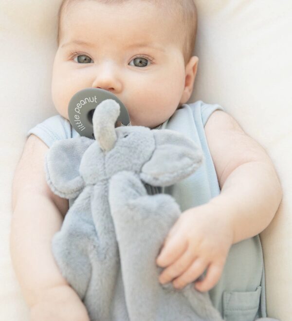 A baby, dressed in a light blue outfit, is lying down holding an Elephant Bubbi Buddy and a pacifier.