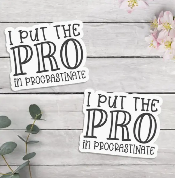 Two stickers on a wooden surface, each reading "I put the PRO in procrastinate" in black text. There are pink flowers and eucalyptus leaves in the corners.