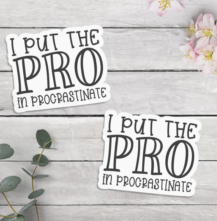 Two stickers on a wooden surface, each reading "I put the PRO in procrastinate" in black text. There are pink flowers and eucalyptus leaves in the corners.