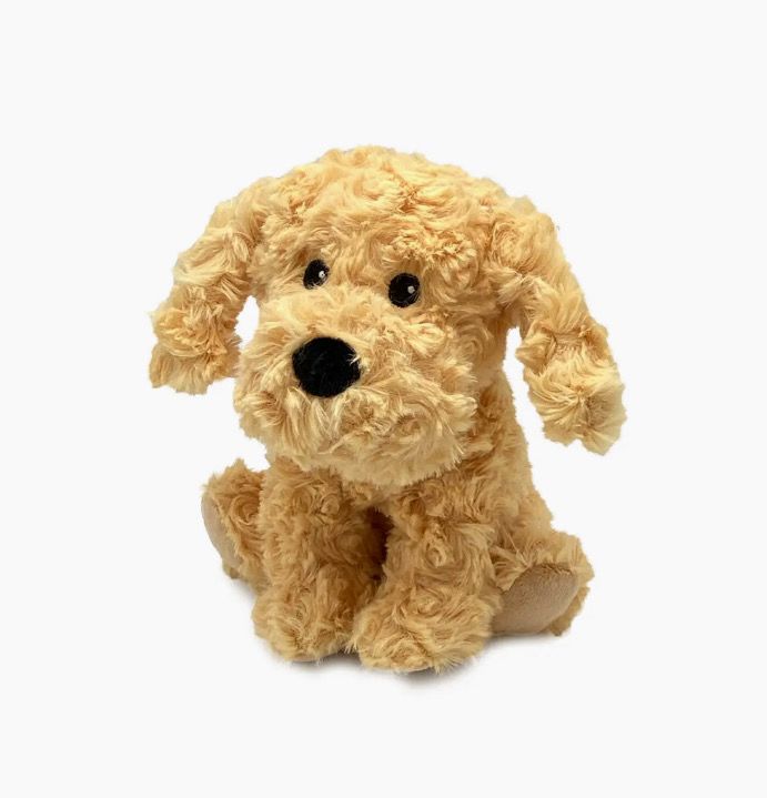 The Golden Dog Warmie - Small is a curly, beige stuffed toy featuring floppy ears and black eyes, sitting on a plain white background.